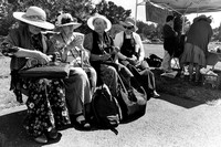 Elder Activism