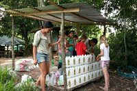 Bottle Wall